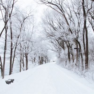 受降雪影响 5省区10条高速2条省道16个路段公路封闭